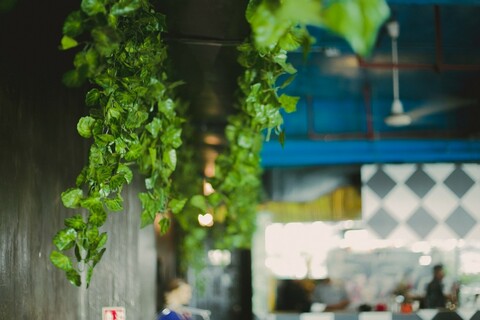 Cyber Hub Specialty Restaurant 3